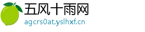 五风十雨网